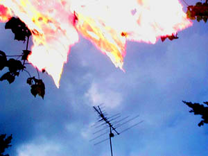 gray day, flash fill, outdated antenna bracketed by foliage silohuettes
