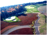 today i took a short flight over my house, cranberry bogs and my golf cours in the helicopter that comes to drop fertilizer on our fairways. the view was really something. so many trees here, behind holes twelve and thirteen. 