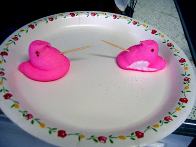 peeps1.jpg